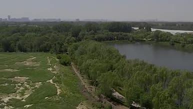 公园湖水绿色阳光城市人文实景拍摄视频的预览图